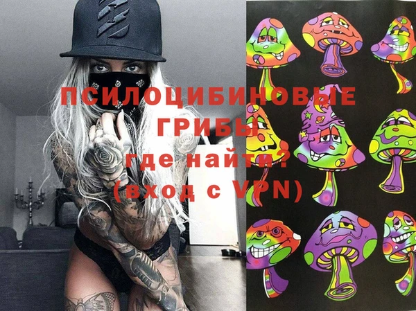 герыч Алексин