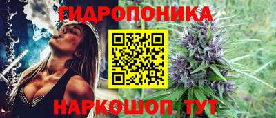 индика Ливны