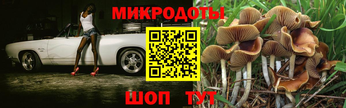 Галлюциногенные грибы Magic Shrooms Петровск